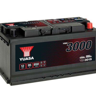 YBX3019
